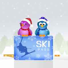 鸟滑雪通行证