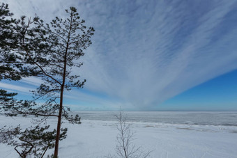 冬天雪海海岸波罗的海海拉脱维亚索尔克拉斯蒂