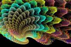 摘要分形图像色彩斑斓的海贝壳