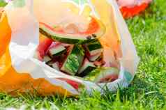西瓜皮种子谎言塑料袋绿色草