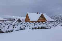 冬天冷温度雪白色颜色俄罗斯