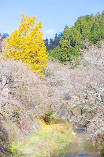 小原丰田名古屋日本