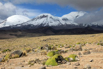 山峰火山科罗普纳安第斯山脉的山秘鲁