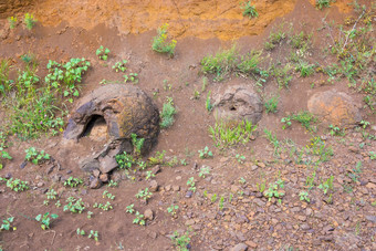 石头形成<strong>类似</strong>形式恐龙鸡蛋发现村湿奥尔霍夫卡kotovo区伏尔加格勒地区俄罗斯
