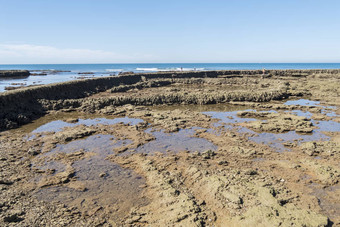 高峰坦率海滩<strong>轮渡</strong>加的斯西班牙钓鱼堰鱼堰