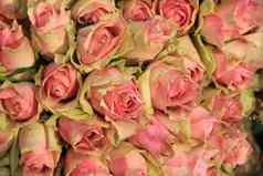婚礼装饰粉红色的玫瑰