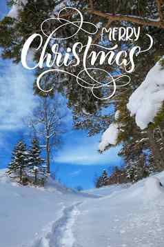 冬天景观新鲜的雪山森林文本快乐圣诞节书法刻字
