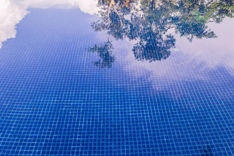 蓝色的瓷砖游泳池树天空影子