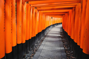 鸟居路径伏见inari大社神社《京都议定书》日本