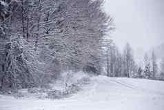 降雪雨夹雪冬天路冰雪路冬天snowst