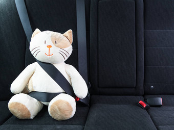 豪华的玩具猫系安全带回来座位车安全路保护概念