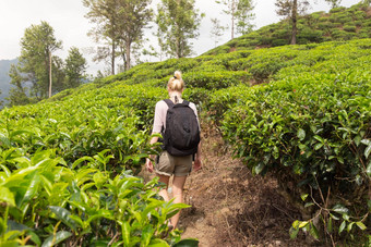 女旅游享受美丽的自然茶种植园斯里兰卡斯里兰卡