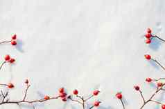 冬天雪背景装饰玫瑰臀部浆果