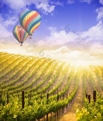 热空气气球飞行美丽的绿色葡萄葡萄园