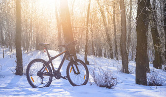 山<strong>自行车</strong>雪小道美丽的冬天<strong>森林</strong>基斯太阳