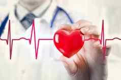 心脏病专家持有心模型概念心电图