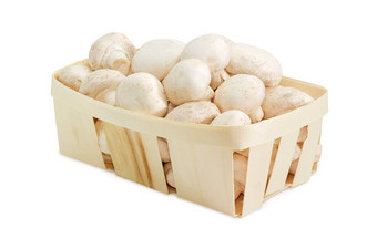 培养常见的按钮蘑菇木篮子