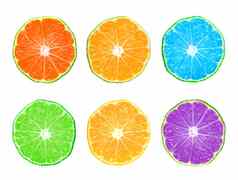 颜色柑橘类片孤立的白色背景