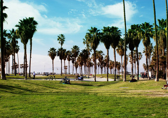 威尼斯海滩这些洛杉矶加州