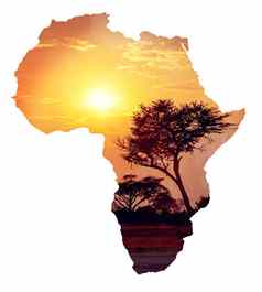 非洲日落金合欢地图非洲概念