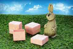 复活节棕色（的）复活节兔子粉红色的礼物盒子