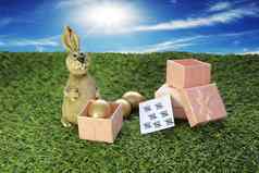 棕色（的）复活节兔子粉红色的礼物盒子