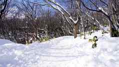 雪人行道森林登别温泉雪冬天由