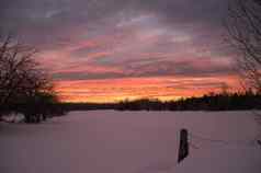 明亮的冬天日落雪农场牧场倚在