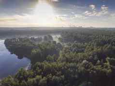 日涨早....夏天时间湖绿色森林波兰