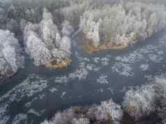 空中视图冬天背景白雪覆盖的森林