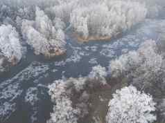 空中视图冬天背景白雪覆盖的森林