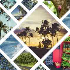 拼贴画夏威夷美国图片旅行背景照片