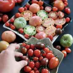 收集西红柿便宜的食物抗癌