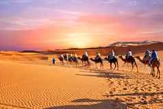 骆驼商队沙子沙丘撒哈拉沙漠沙漠