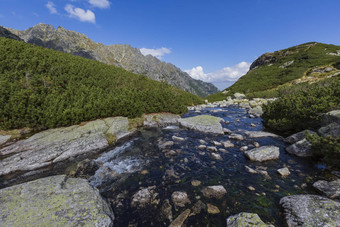 溶液<strong>流</strong>溶液谷塔特拉山国家公园高萨斯尔