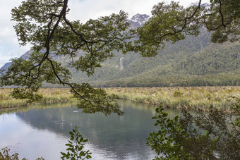 <strong>鸿沟</strong>峡湾南岛新西兰