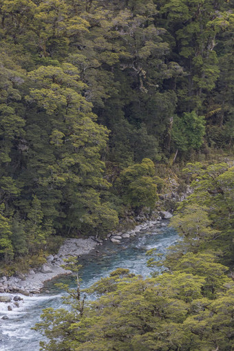 <strong>鸿</strong>沟峡湾南岛新西兰