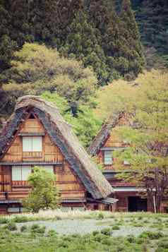 传统的历史日本村荻町shirakawa-go日本