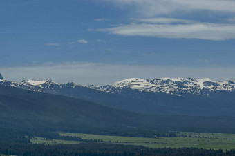 场景山前松柏科的森林<strong>高峰</strong>rila山