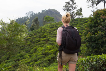 女旅游享受美丽的自然茶种植园斯里兰卡斯里兰卡