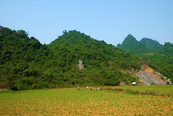 美丽的农村被兵越南南