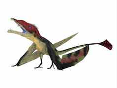 eudimorphodon休息