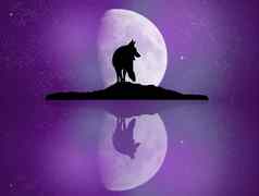 狼反映了月光