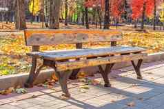 孤独的板凳上秋天城市公园阳光明媚的一天