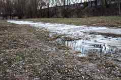 路径公园泥浆水坑雪