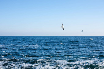 风景如画的全景黑色的海