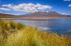 Altiplano拉古纳南部利佩兹珍藏玻利维亚