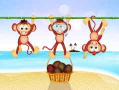 有趣的猴子海滩
