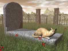 猫墓碑上渲染