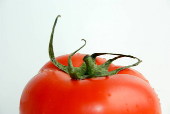 红色的番茄白色背景<strong>照片设计</strong>